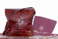 Binocular Bag!